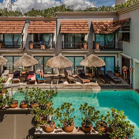 Caribbean Paradise Hotel & Spa - 5Th Avenue Πλάγια Ντελ Κάρμεν Εξωτερικό φωτογραφία