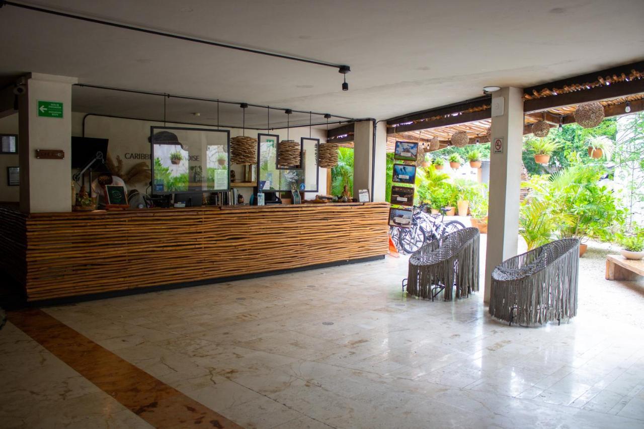 Caribbean Paradise Hotel & Spa - 5Th Avenue Πλάγια Ντελ Κάρμεν Εξωτερικό φωτογραφία