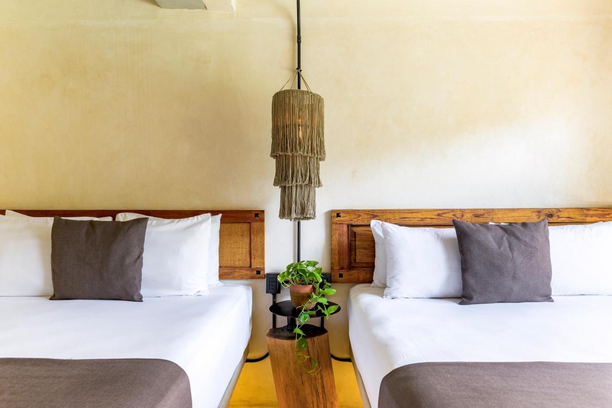 Caribbean Paradise Hotel & Spa - 5Th Avenue Πλάγια Ντελ Κάρμεν Εξωτερικό φωτογραφία